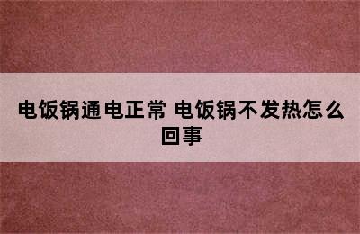 电饭锅通电正常 电饭锅不发热怎么回事